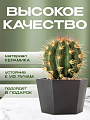 Кашпо керамика, 0.7 л, 12х8.5 см, шестигранник, черное, Эджес №2, 049720 - фото 4