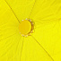 Зонт для женщин, механический, 6 спиц, 50 см, полиэстер, желтый, Y822-063 - фото 5