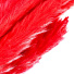 Цветок искусственный декоративный Сухоцветы, 60 см, темно-красный, Y6-10397 - фото 2