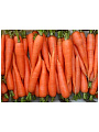 Семена Морковь, Карамелька, 2 г, цветная упаковка, Аэлита - фото 2