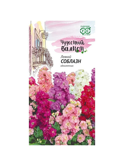Семена Цветы, Левкой, Соблазн, 0.05 г, Чудесный балкон, седой, смесь, цветная упаковка, Гавриш