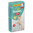 Подгузники-трусики детские Pampers, Pants Maxi, р. 4, 9 - 14 кг, 52 шт, унисекс - фото 2