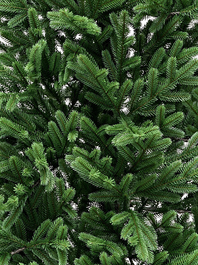 Елка новогодняя напольная, 180 см, Волжская, ель, зеленая, хвоя литая, 216180, ЕлкиТорг