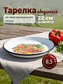 Тарелка обеденная, эмалированная сталь, 22 см, 0.5л, круглая, СтальЭмаль, 1с4с/К, в ассортименте