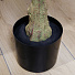 Дерево искусственное декоративное в кашпо, 115 см, Y4-3390 - фото 4