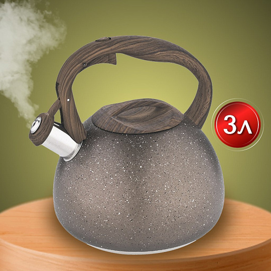 Чайник нержавеющая сталь, 3 л, со свистком, матовый, ручка бакелитовая, Alpenkok, индукция, AK-520