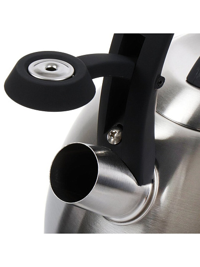 Чайник нержавеющая сталь, 2.7 л, со свистком, матовый, ручка бакелитовая, с силиконовым покрытием, Daniks, индукция, стальной, M-085