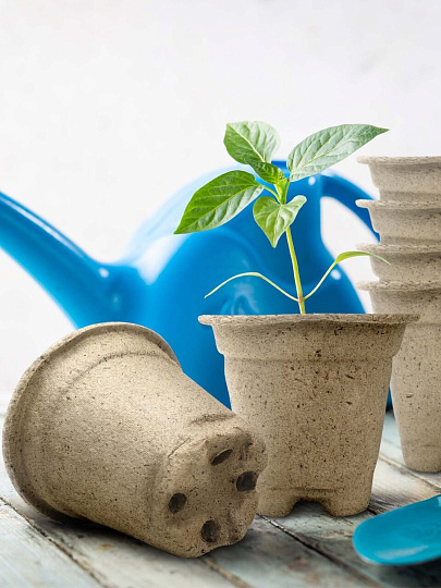 Горшок торфяной 80 мм, 20 шт, с улучшенным дном, ГазонCity