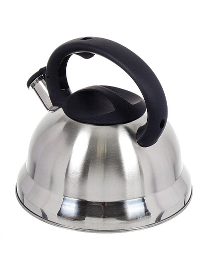 Чайник нержавеющая сталь, 2.8 л, со свистком, матовый, ручка с силиконовым покрытием, Daniks, MSY-013