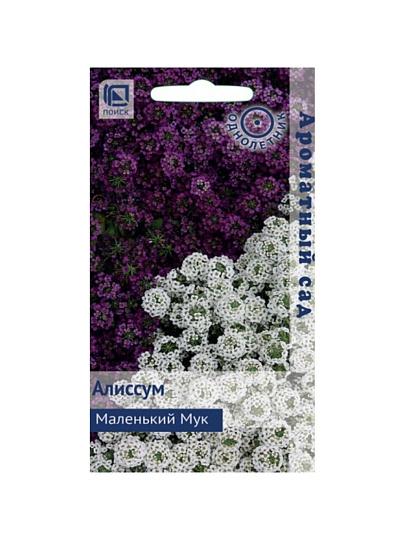 Семена Цветы, Алиссум, Маленький Мук, 0.3 г, Ароматный сад, цветная упаковка, Поиск