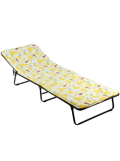 Раскладушка 192х65х25 см, 120 кг, Стефания, с86а/123, мягкая, сталь, ткань, матрас в комплекте, поролон, в ассортименте