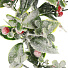 Венок рождественский 40 см, с ягодами, заснеженный, SYHHA-0823075 - фото 3