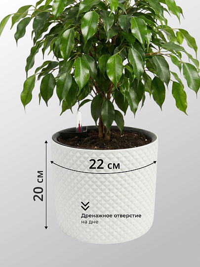 Кашпо пластик, 6.2 л, 22х22х20 см, автополив, со вставкой, белое, Idea, Фасет, М 3237