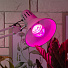 Лампа светодиодная для растений, E27, 14 Вт, 130-270 В, Б0050602, Эра, FITO-14W-RB-E27 - фото 5