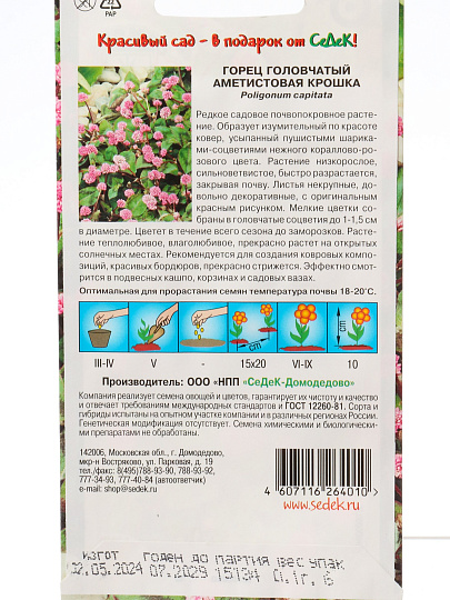 Семена Цветы, Горец, Аметистовая крошка, 0.1 г, цветная упаковка, Седек