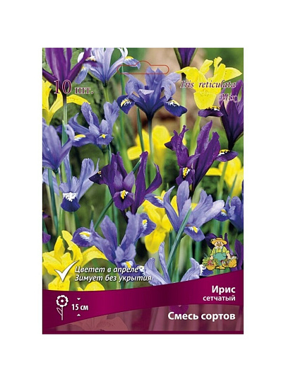 Луковицы Ирис сетчатый, смесь окрасок