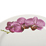 Тарелка суповая фарфоровая, 200 мм, Идиллия Роскошная орхидея 4С0571 Добрушский фарфоровый завод - фото 2
