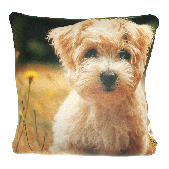 Подушка-антистресс Штучки, к которым тянутся ручки Антистрессовая Собаки 11асс01ив, 35х35 см