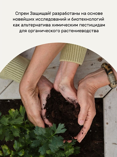 Инсектицид от тли, белокрылки, спрей, 450 мл, Защищай!