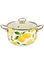 Кастрюля эмалированная сталь, 5 л, крышка стекло, Daniks, Лимоны, индукция