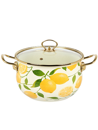 Кастрюля эмалированная сталь, 5 л, крышка стекло, Daniks, Лимоны, индукция