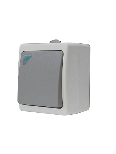 Выключатель открытой установки, одноклавишный, 10 А, ABS пластик, подсветка, серый, UNIVersal, Аллегро, 1278