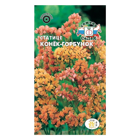 Семена Цветы, Статице, Конек-Горбунок, 0.06 г, нежно-абрикосовый, цветная упаковка, Седек
