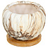 Кашпо керамика, 0.25 л, 8.5х7 см, с деревянной подставкой, в ассортименте, Мрамор, Y4-5087 - фото 3