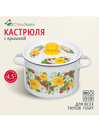Кастрюля эмалированная сталь, 4.5 л, крышка сталь, СтальЭмаль, 1с17с, в ассортименте, индукция