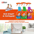 Средство для стекол Мистер Мускул, 500 мл, с курком, со спиртом, 164745/659810 - фото 6