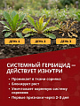 Гербицид Дикамбел, от сорняков, 100 мл, на кукурузе и зерновых культур, Агрусхим - фото 6