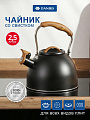 Чайник нержавеющая сталь, 2.5 л, со свистком, матовый, ручка с покрытием, нейлон, Daniks, индукция, GS-04415B