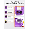 Опрыскиватель аккумуляторный, Comfort, 12 л, свинцово-кислотный, 8 А.ч, 12 В, пластик, ЭОЭ-12 - фото 10