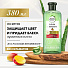 Шампунь Herbal Essences, Защита цвета и блеск Алоэ/Манго, для окрашенных волос, 380 мл - фото 5