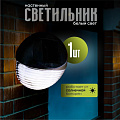 Фонарь садовый Uniel, Bright USL-F-151/PТ110, на солнечной батарее, настенный, 2*0.06 Вт, пластик, 5х11 см