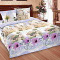т КПБ Шуйские ситцы 1,5сп Поплин (2н 70*70, пр 214*150, п 215*143) рис 86151 с1232шв