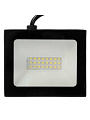 Прожектор светодиодный Smartbuy, FL SMD LIGHT, 30 Вт, 6500 К, черный, SBL-FLLight-30-65K