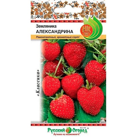 Семена Земляника, Александрина, 0.05 г, цветная упаковка, Русский огород