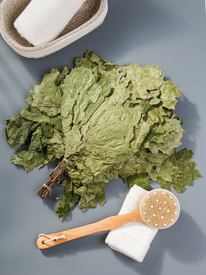 Веник банный дуб канадский, в упаковке, Бацькина Баня, 20518