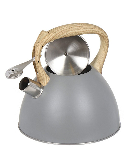 Чайник нержавеющая сталь, 3 л, со свистком, матовый, ручка с силиконовым покрытием, Daniks, индукция, серый, MSY-079G/GS-04075C