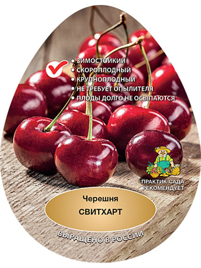 Саженцы Черешня, Свитхарт, 827753