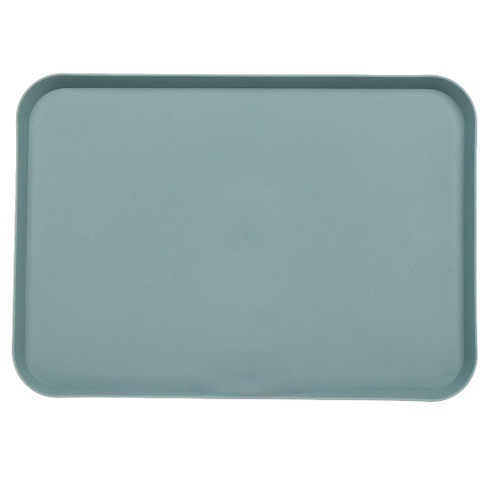 Поднос пластик, 32х24 см, прямоугольный, голубой, Y4-8074