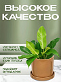 Горшок керамика, 21.5х21 см, для цветов, латте, Лидер №1, 4083 - фото 2