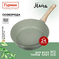 Сковорода литой алюминий, 24 см, антипригарное покрытие, Гурман, Мята, индукция, ГМ2401МЛ