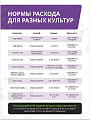 Удобрение Агростимул, стимулятор роста и развития, ампула, 2 мл, Агрусхим - фото 10
