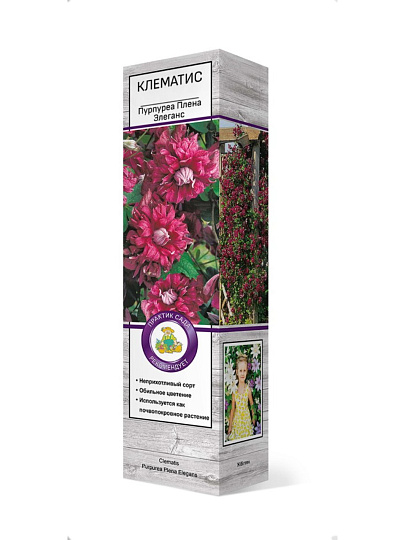 Саженцы Клематис ботанические, Пурпуреа Плена Элеганс, 751300