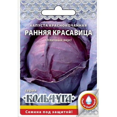 Семена Капуста краснокочанная, Ранняя красавица, 0.5 г, Кольчуга, цветная упаковка, Русский огород