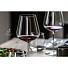 Бокал для вина, 685 мл, хрустальное стекло, 6 шт, Schott Zwiesel, Allround Vervino, 121413-6 - фото 3