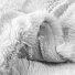 Плед евро, 220х200 см, кролик, 100% полиэстер, Silvano, Комфорт, белый - фото 4