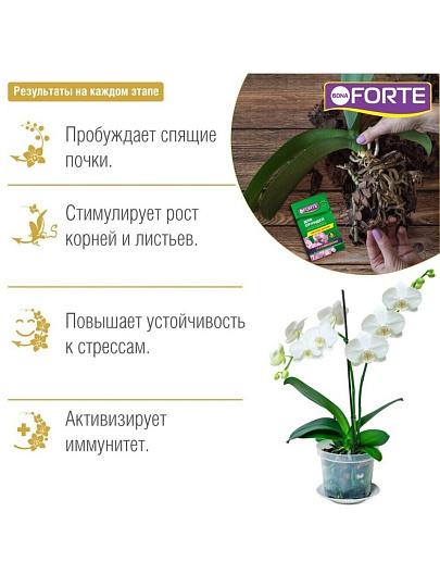 Удобрение Здоровье, для орхидей, минеральное, жидкость, 10 мл, Bona Forte